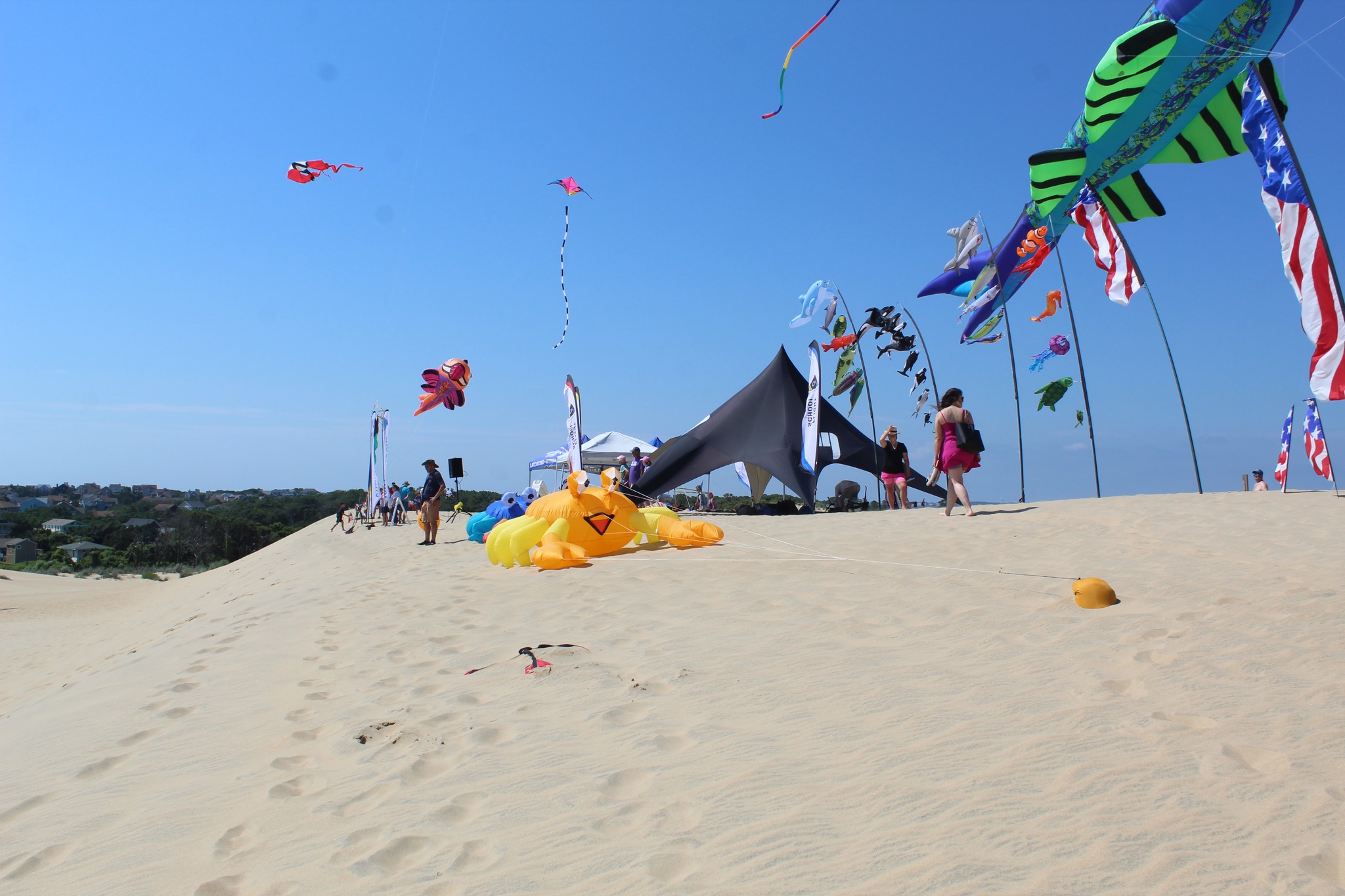 Things To Do Kitty Hawk Kites